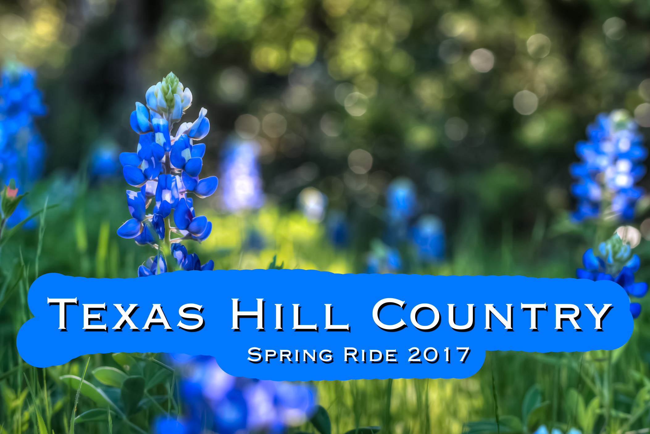 Texas Hill Country Wildflower Tour 2017